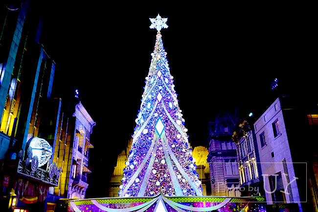 USJの大きなクリスマスツリー