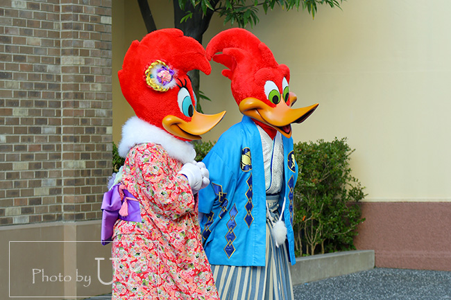 ウッディとウィニー正月衣装