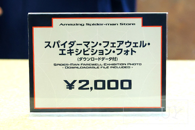 スパイダーマン・ファアウェル・エキシビジョンフォト