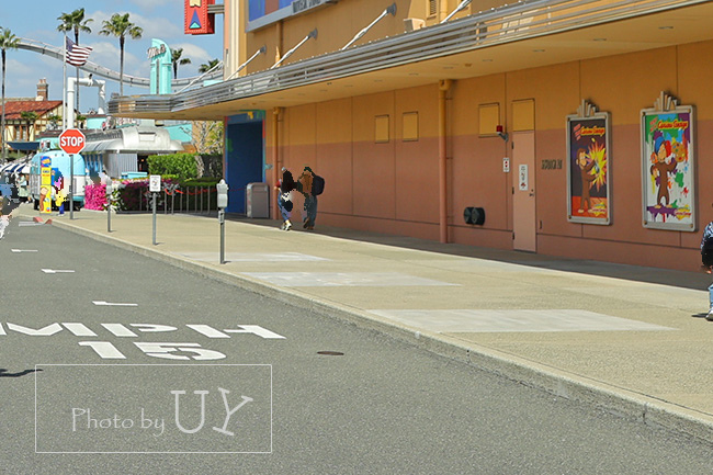 植樹並木のグリーンストリート