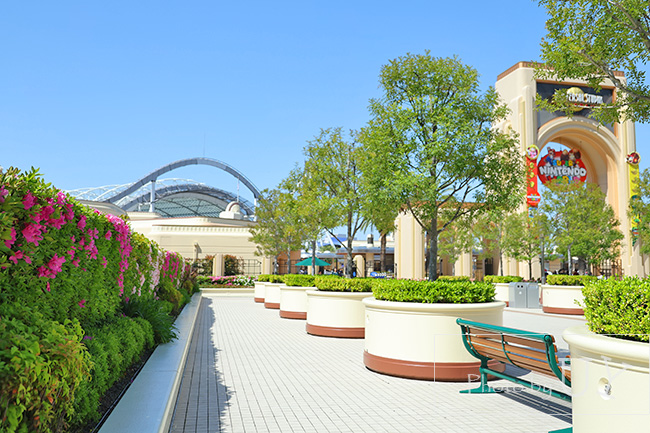 大門前のツヅジ