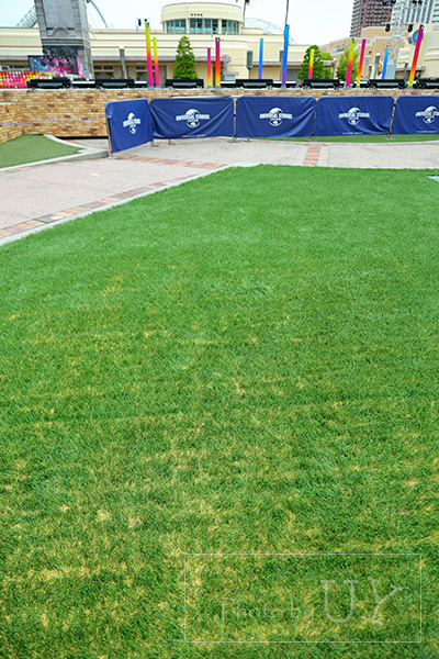 グラマシーパーク人工芝の有機チップ