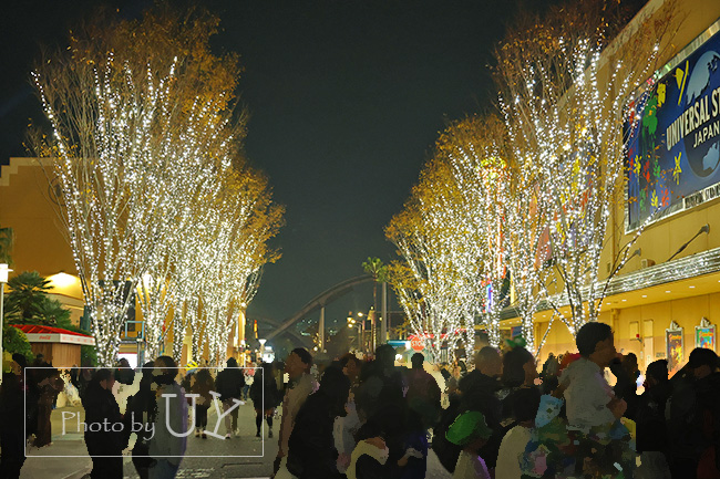 おさるのジョージ前グリーンストリートライトアップ
