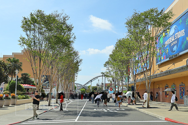 おさるのジョージ前グリーンストリート