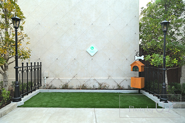 アシスタンスドッグステーション