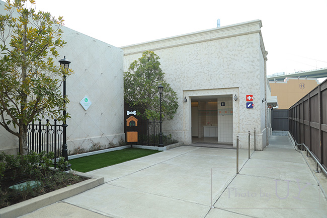 アシスタンスドッグステーション