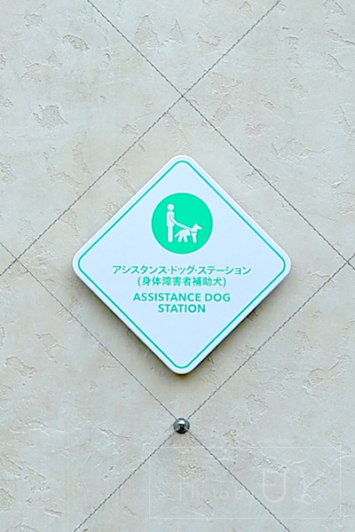 アシスタンスドッグステーション