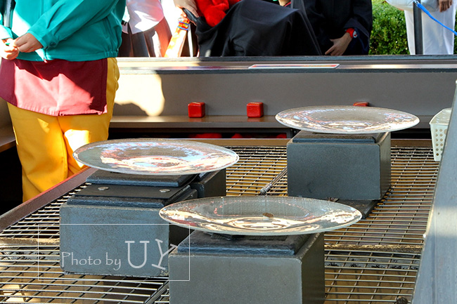 コインピッチ（COIN PITCH）のお皿