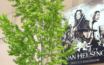 USJにも新緑の美しさが