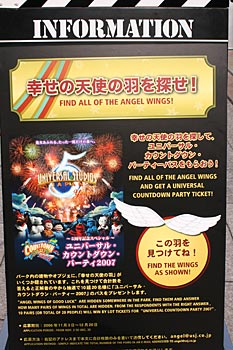 幸せの天使の羽その1