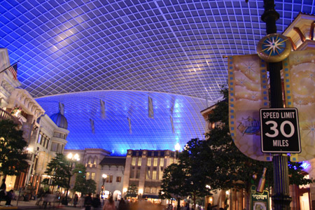 夜のキャノピー