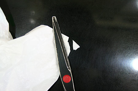 ウォーター・パレードでカメラの防水