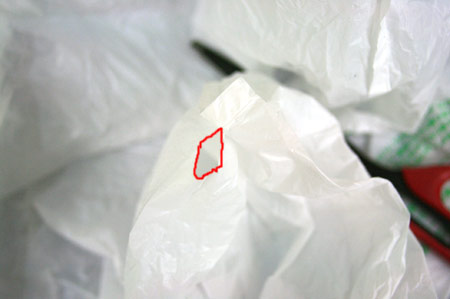 ウォーター・パレードでカメラの防水