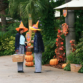 トリック・オア・トリート