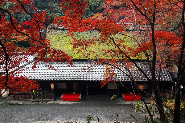 嵯峨野鳥居本 平野屋