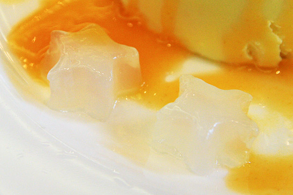 ジングルベル ～ハニーババロア アプリコットソース～