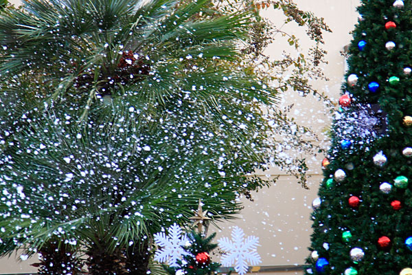 ハッピー・スノー・パーティ