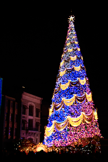 クリスマスツリー