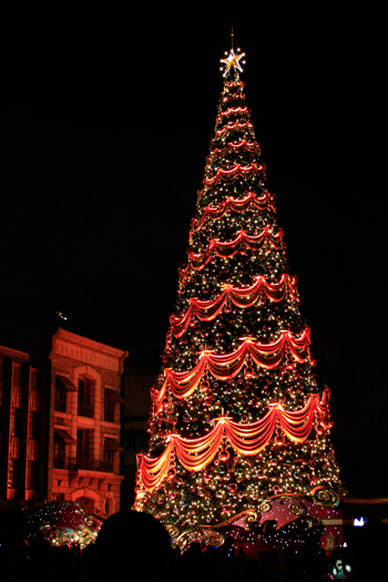 クリスマスツリー