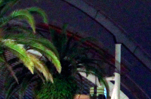 ハリウッド・ドリーム・ザ・ライド～バックドロップ