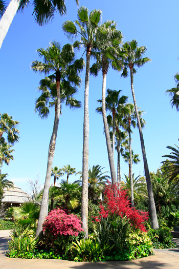 ジュラシックパーク