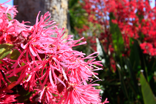 ジュラシックパーク