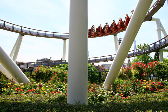 USJのバラ園「Roses of Fame