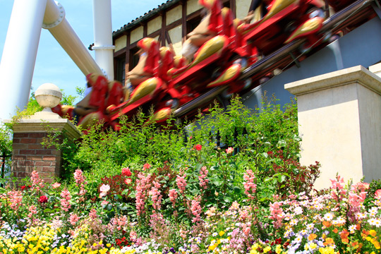 ハリウッド･ドリーム･ザ･ライド～バックドロップ～