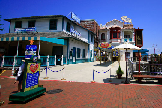 ツバメは巣立ったようです