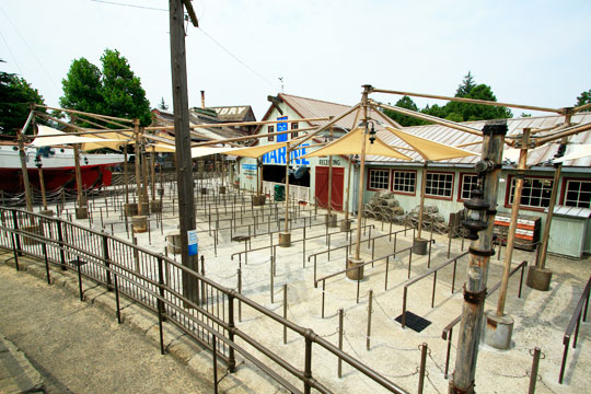 ジョーズの新しい待ち列