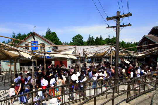 ジョーズの新しい屋外の待ち列