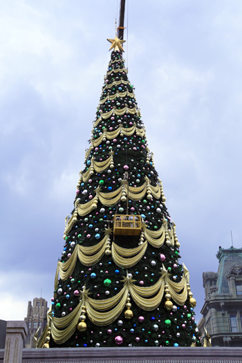 クリスマスの準備が始まる