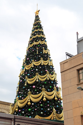 クリスマスツリー制作中