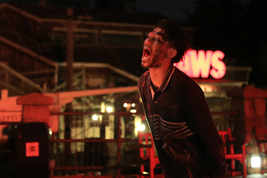 プラチナ・ナイト