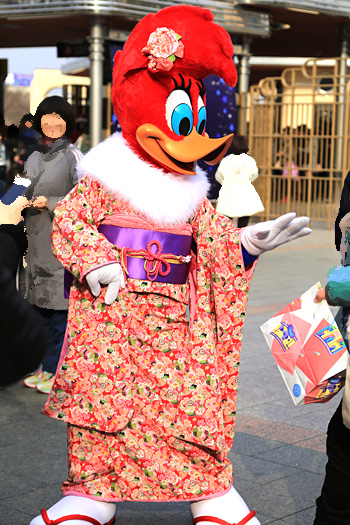 2014年元旦の様子