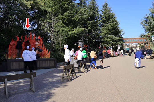 ワンピースのプレミアショー