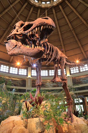 麦わらの一味の宴レストラン