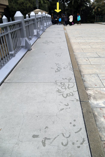 水スプレーなどで描いたイラスト