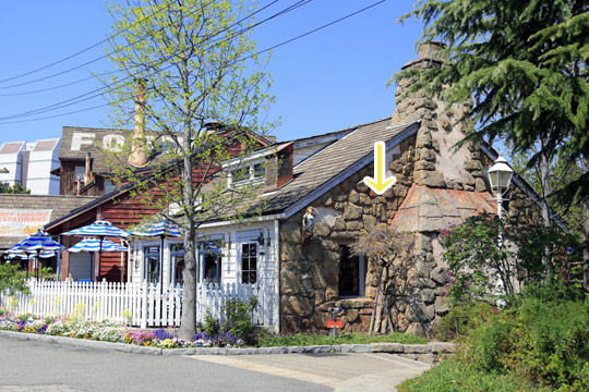 アミティビレッジの藤