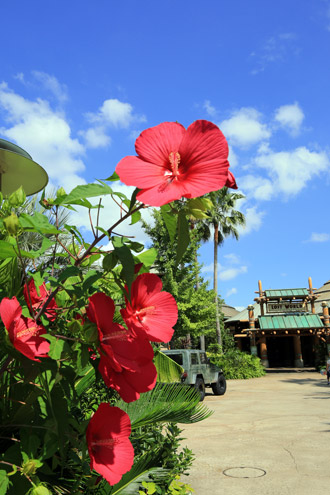 タイタンビカス