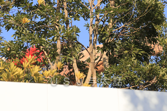 ユニバーサル・クールジャパン