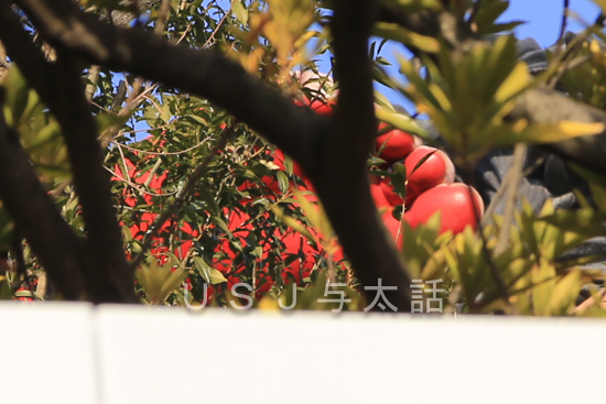 ユニバーサル・クールジャパン