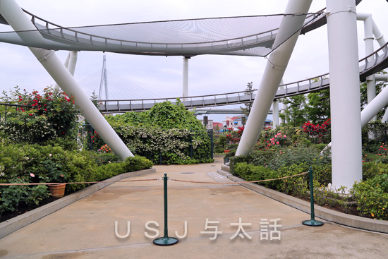 ローズ・オブ・フェイム