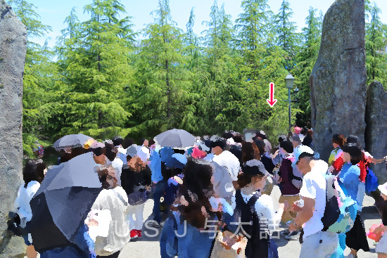 ハリー・ポッターエリア