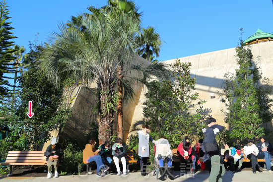 ジュラシックパークの植え込みが再生