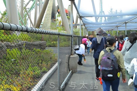 ザ・フライング・ダイナソーの落下防止ネット