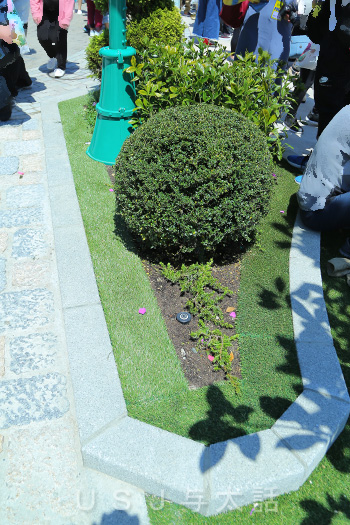 ミニオンパーク